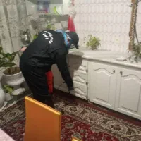 سمپاشی و کنترل افات بهداشتی ( سوسک ساس ...|خدمات نظافت|فاضل آباد, |دیوار