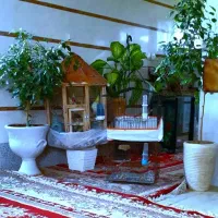 پرنده