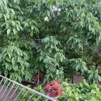 اقامتگاه بوم گردی سپیدان|اجارهٔ کوتاهمدت ویلا و باغ|سپیدان, |دیوار