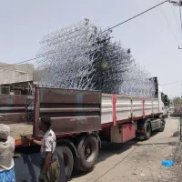 حفاظ شاخ گوزنی|خدمات پیشه و مهارت|چابهار, |دیوار