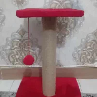 اسکرچر  گربه