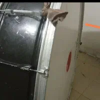 دوطبل یک هشتاد|درام و پرکاشن|بروجرد, |دیوار