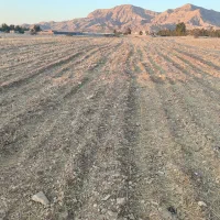 فروش  زمین  ۹۵۰۰ متری در صالح آباد  درجای خوب