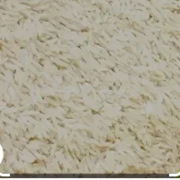 برنج هاشمی سالم وسرلاشه درجه یک