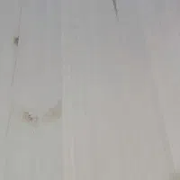 بکدراپ مخصوص عکاسی|دوربین عکاسی و فیلمبرداری|دزفول, |دیوار