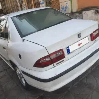 سمند سفید معمولی