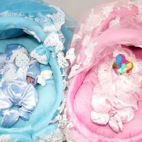 سبد حمل کودک دو قلویی