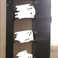 جاکفشی ایستاده