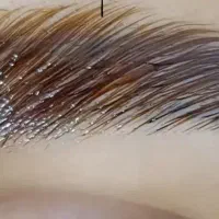 انواع کاشت مژه و لیفت ابرو|خدمات آرایشگری و زیبایی|سنندج, |دیوار