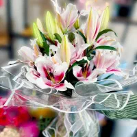 گلفروشی/گل/باکس گل/دسته گل/تاج گل|گل و گیاه طبیعی|شیراز, رکنآباد|دیوار