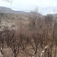 باغ|فروش زمین و ملک کلنگی|سی‌سخت, |دیوار