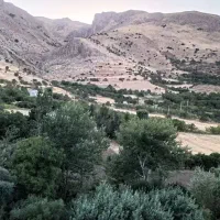 پیمان کاری  صفر تا صد پروژه کشاورزی  استخر