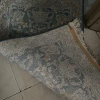 ۳عدد پادری سالم|پادری|کرج, کوی کارمندان جنوبی|دیوار