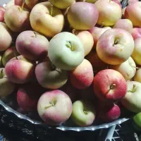 میوه|خوردنی و آشامیدنی|فیروزکوه, |دیوار