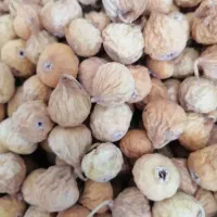 فروش انجیر ارگانیک