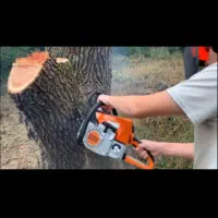 هرس کاری درخت