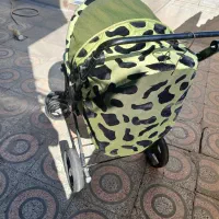 کالسکه|کالسکه و لوازم جانبی|سرپل ذهاب, |دیوار