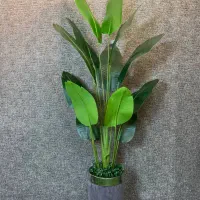 پخش درخت های مصنوعی|گل مصنوعی|قدس, شهرقدس|دیوار