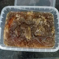 عسل کوهی شرط اصل