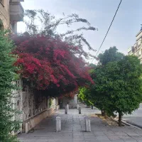 سرویس سواری جهت رفت