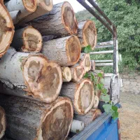 خرید فروش انواع چوب باغی و صنعتی
