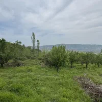 ۲۰۰۰ متر زمین باغ میوه ویودار در بابلکنار|فروش دفتر صنعتی، کشاورزی، تجاری|بابل, |دیوار