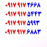 0917.917.5443