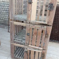 قفس چوبی