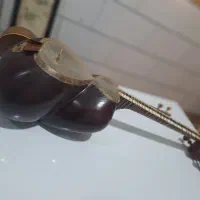 تار پنجه خورده و خوش دست و خوش صدا