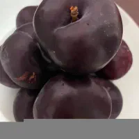 آلو قرمز