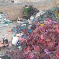 سبد میوه و کارتن موزی