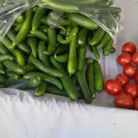 خیار، کلم، کاهو