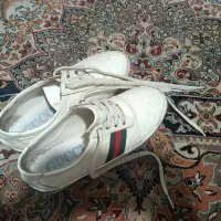 کفش|کیف، کفش، کمربند|شیراز, معالی‌آباد|دیوار