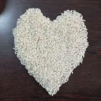 برنج محسن هندی