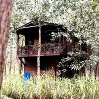 ویلای سوئیسی با ۷ کیلومتر لاین خصوصی قایق سواری