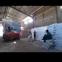 خریدار کودسفید