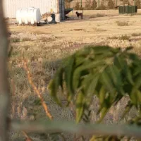 زمین-کشاورزی-کهریزک