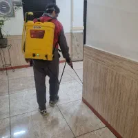 سمپاشی سوسک و طعمه گذاری موش(ساس و غیره)|خدمات نظافت|اسلامشهر, شهرک قائمیه|دیوار