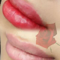 ابرو و شید لب و بن مژه ولیفت ابرو و مژه(رایگان)