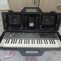 ارگ کاسیو mt-800