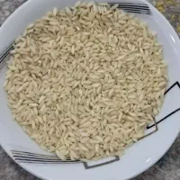 انواع برنج خارجی ایرانی