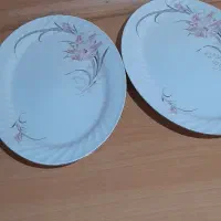 دستگیره دونه ای  ۱۵   تومان|سفره، حوله، دستمال آشپزخانه|شاهین‌شهر, عطار|دیوار