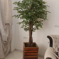 درختچه مصنوعی درحد نو