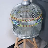 قفس زینتی
