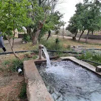 فروش ۲ هکتار زمین کشاورزی و گلخانه با مجوز|فروش دفتر صنعتی، کشاورزی، تجاری|تیران, |دیوار