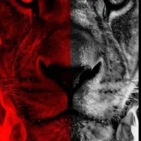 فروشگاه دیجیتال گوشی اسپیکر با کارت اعتباری کالا