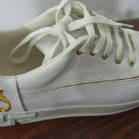 کفش|کیف، کفش، کمربند|اردبیل, |دیوار