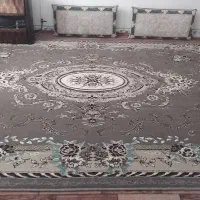 ۲ تا فرش ۱۲متری دانه ۴ تومن|فرش|تربتحیدریه, باغ سلطانی|دیوار