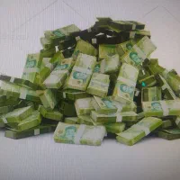 وام و امتیاز بانک رسالت، مهر، ملی (مهربانی)