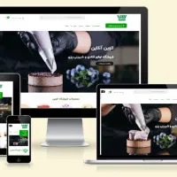 طراحی و پشتیبانی انواع فروشگاه اینترنتی + سئو